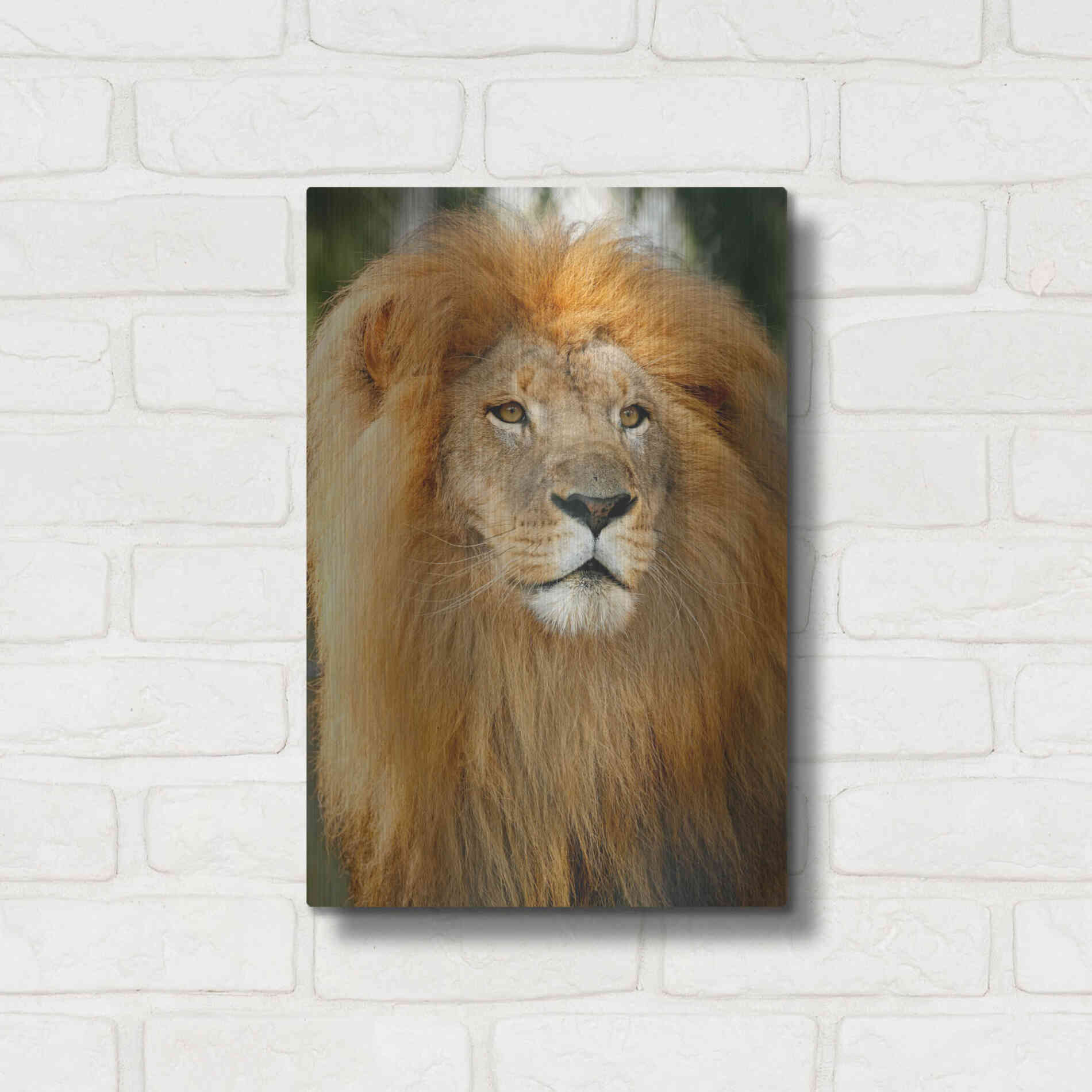 Luxe Metal Art 'Lion' by Mike Jones, Metal Wall Art,12x16