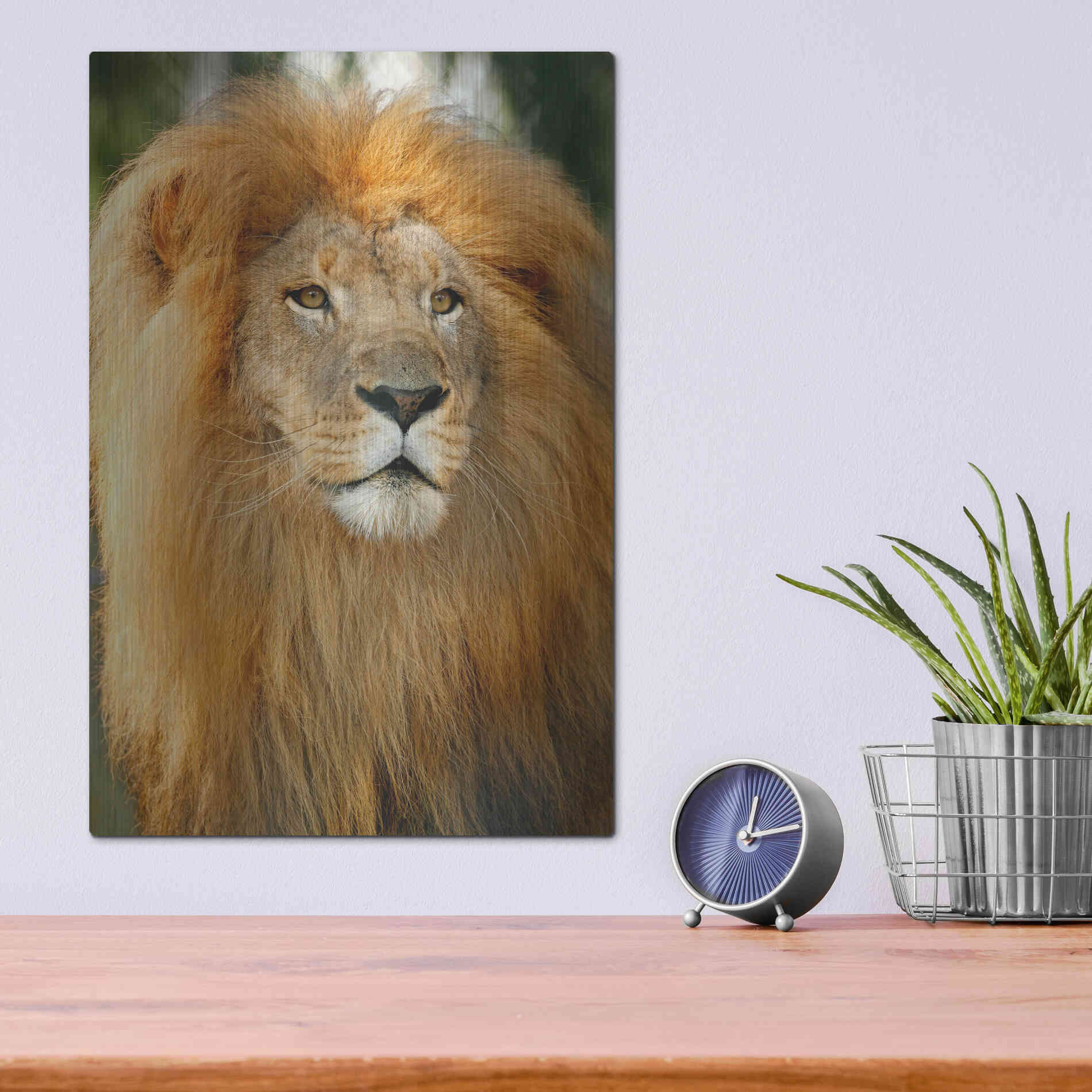 Luxe Metal Art 'Lion' by Mike Jones, Metal Wall Art,12x16