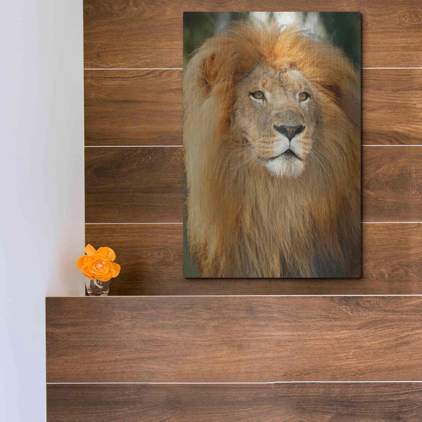 Luxe Metal Art 'Lion' by Mike Jones, Metal Wall Art,12x16