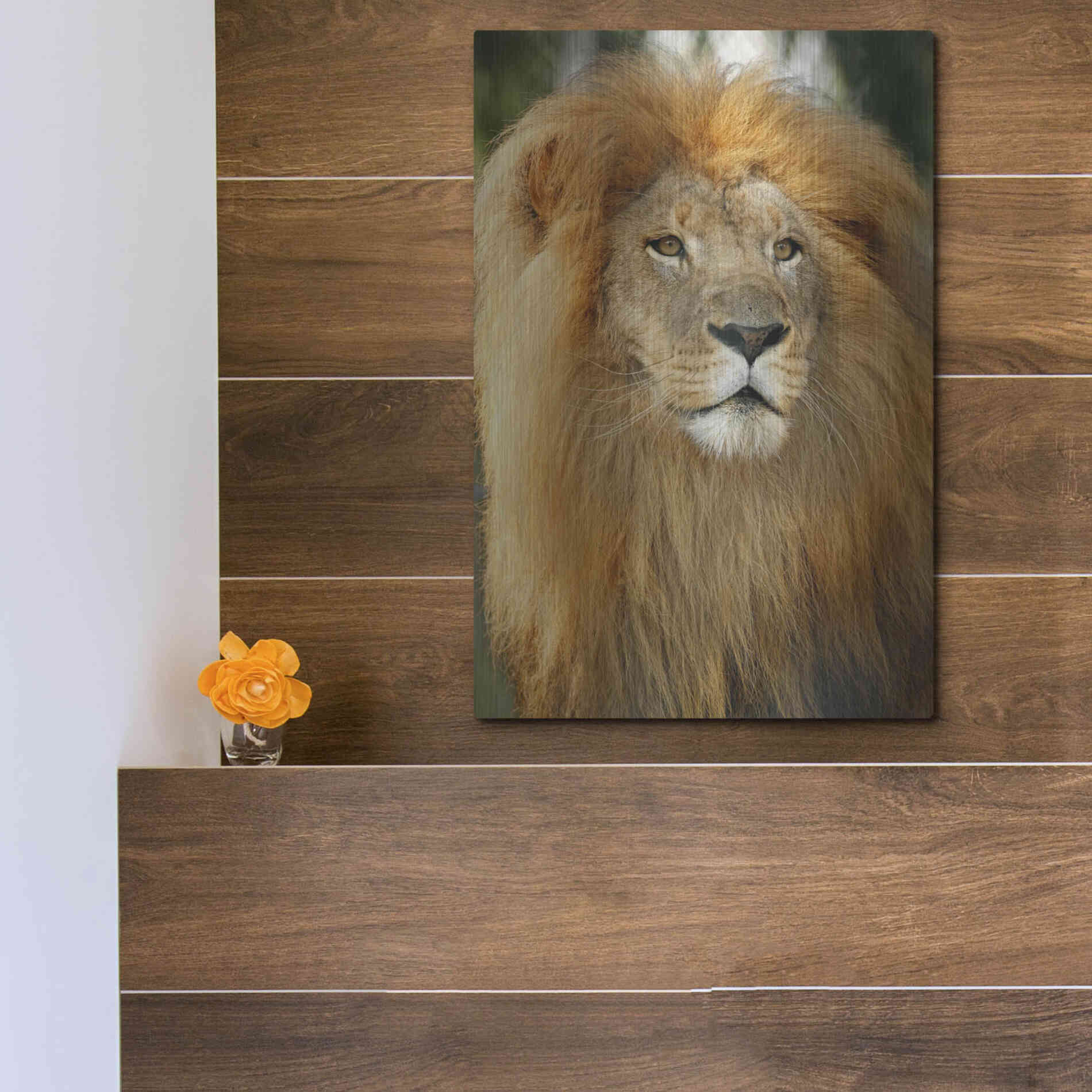 Luxe Metal Art 'Lion' by Mike Jones, Metal Wall Art,12x16