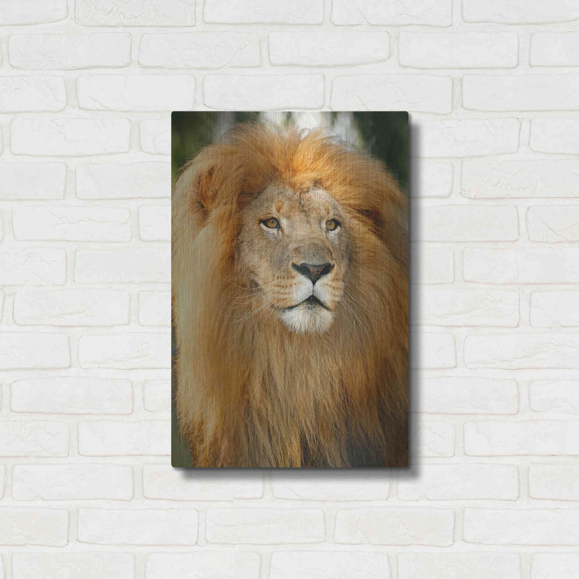 Luxe Metal Art 'Lion' by Mike Jones, Metal Wall Art,16x24
