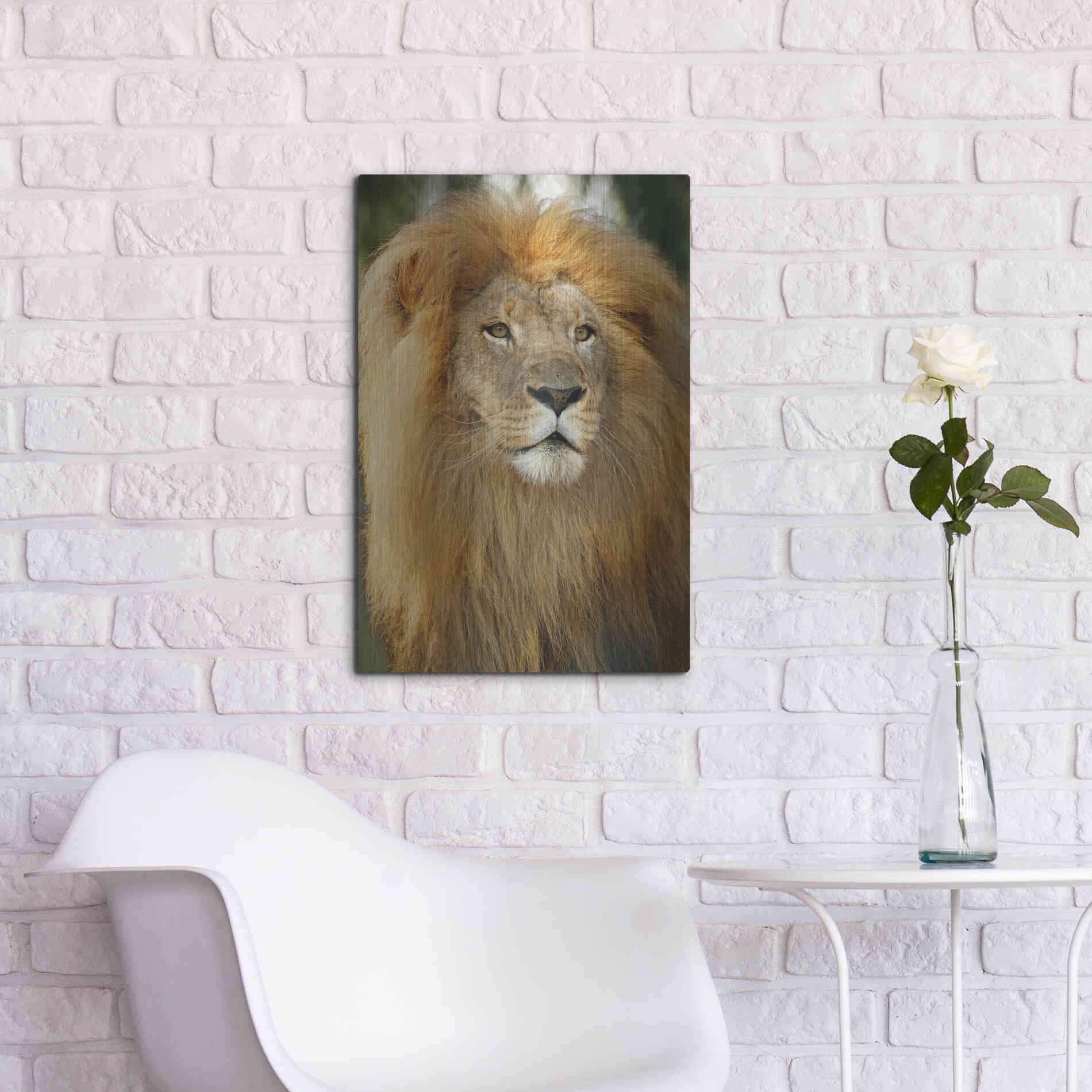 Luxe Metal Art 'Lion' by Mike Jones, Metal Wall Art,16x24