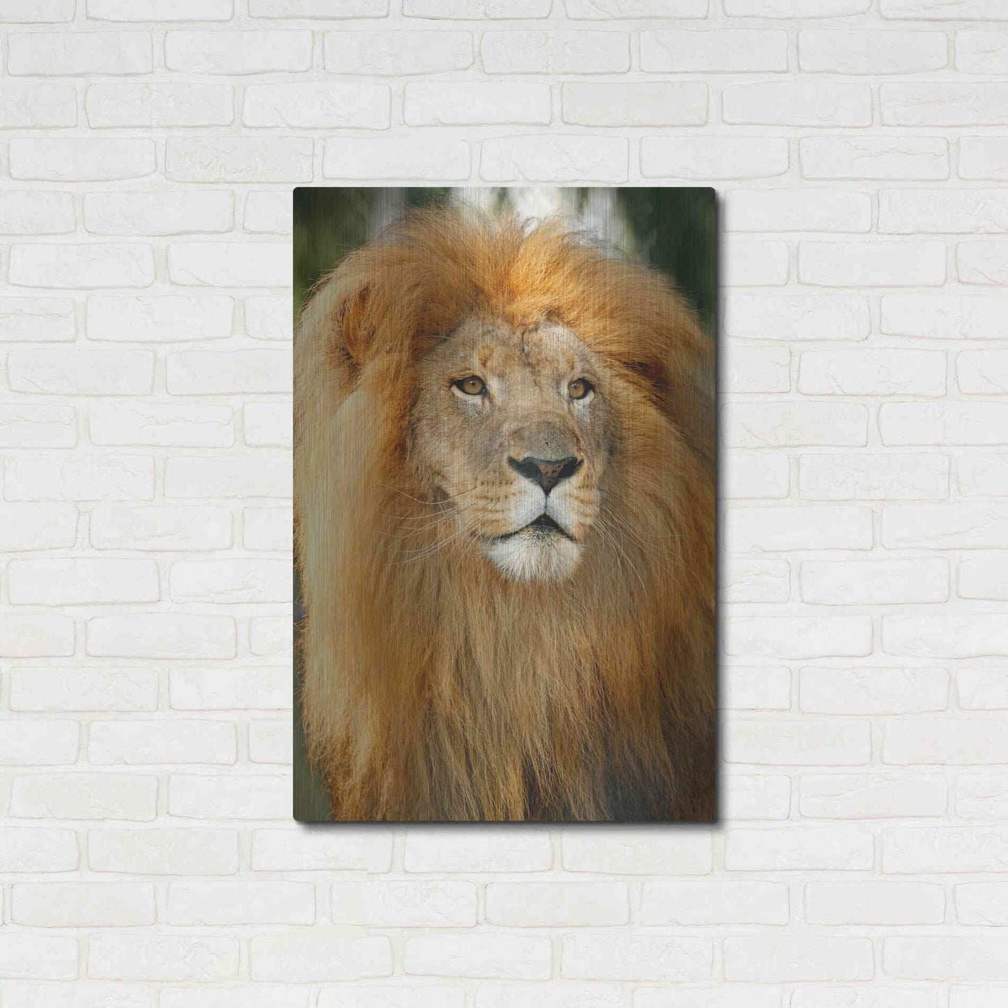 Luxe Metal Art 'Lion' by Mike Jones, Metal Wall Art,24x36