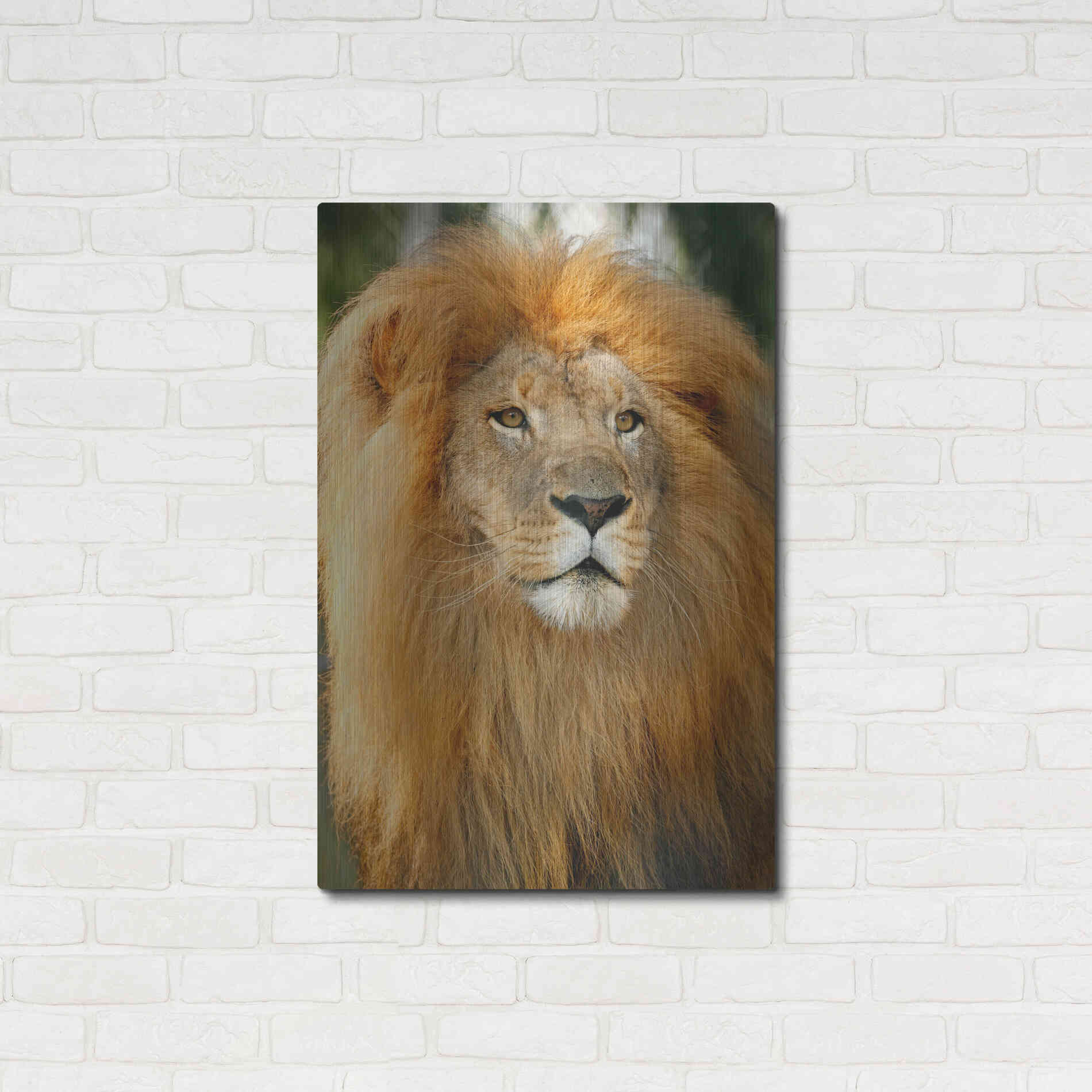 Luxe Metal Art 'Lion' by Mike Jones, Metal Wall Art,24x36