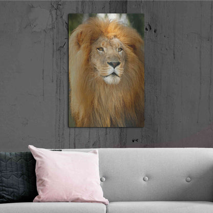 Luxe Metal Art 'Lion' by Mike Jones, Metal Wall Art,24x36