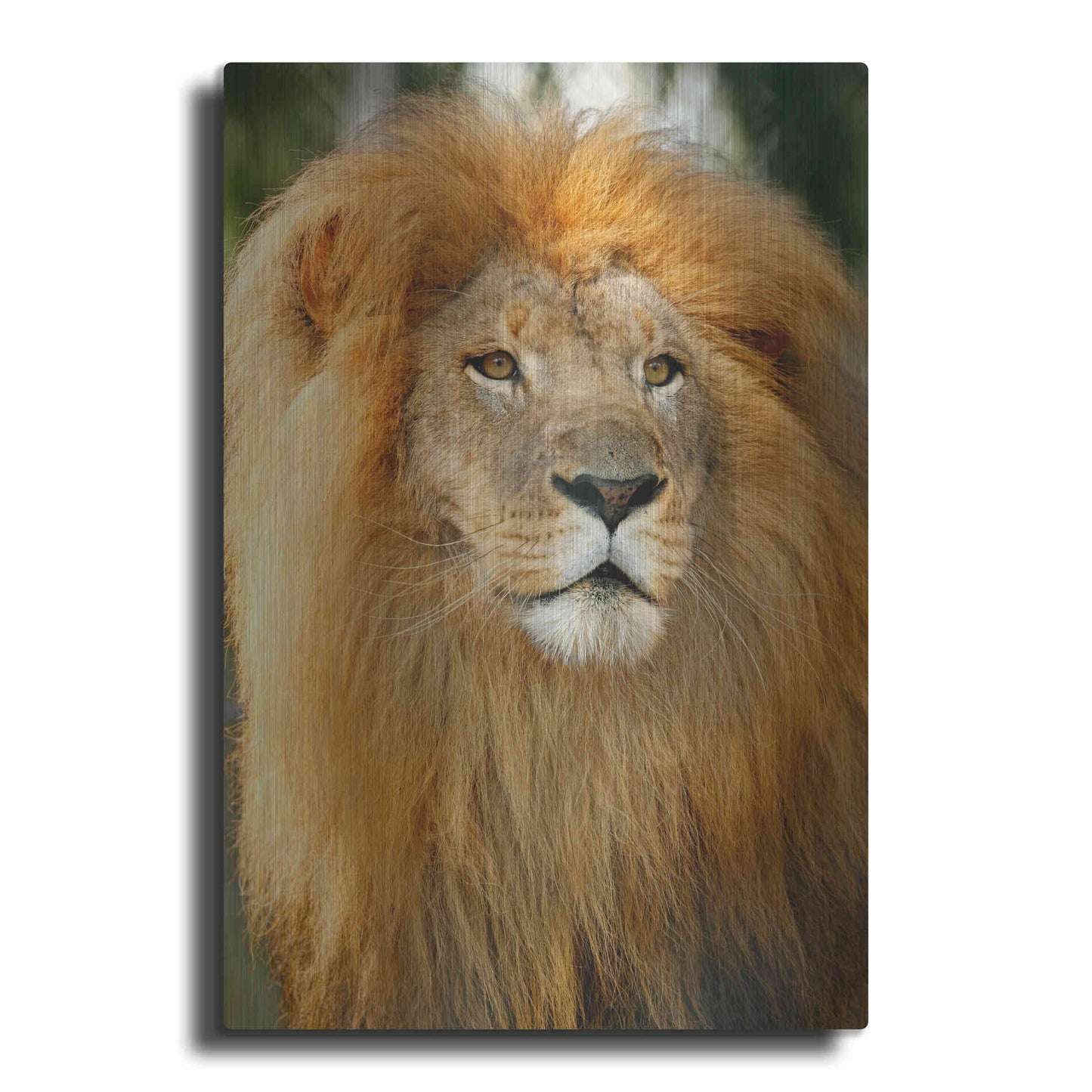 Luxe Metal Art 'Lion' by Mike Jones, Metal Wall Art