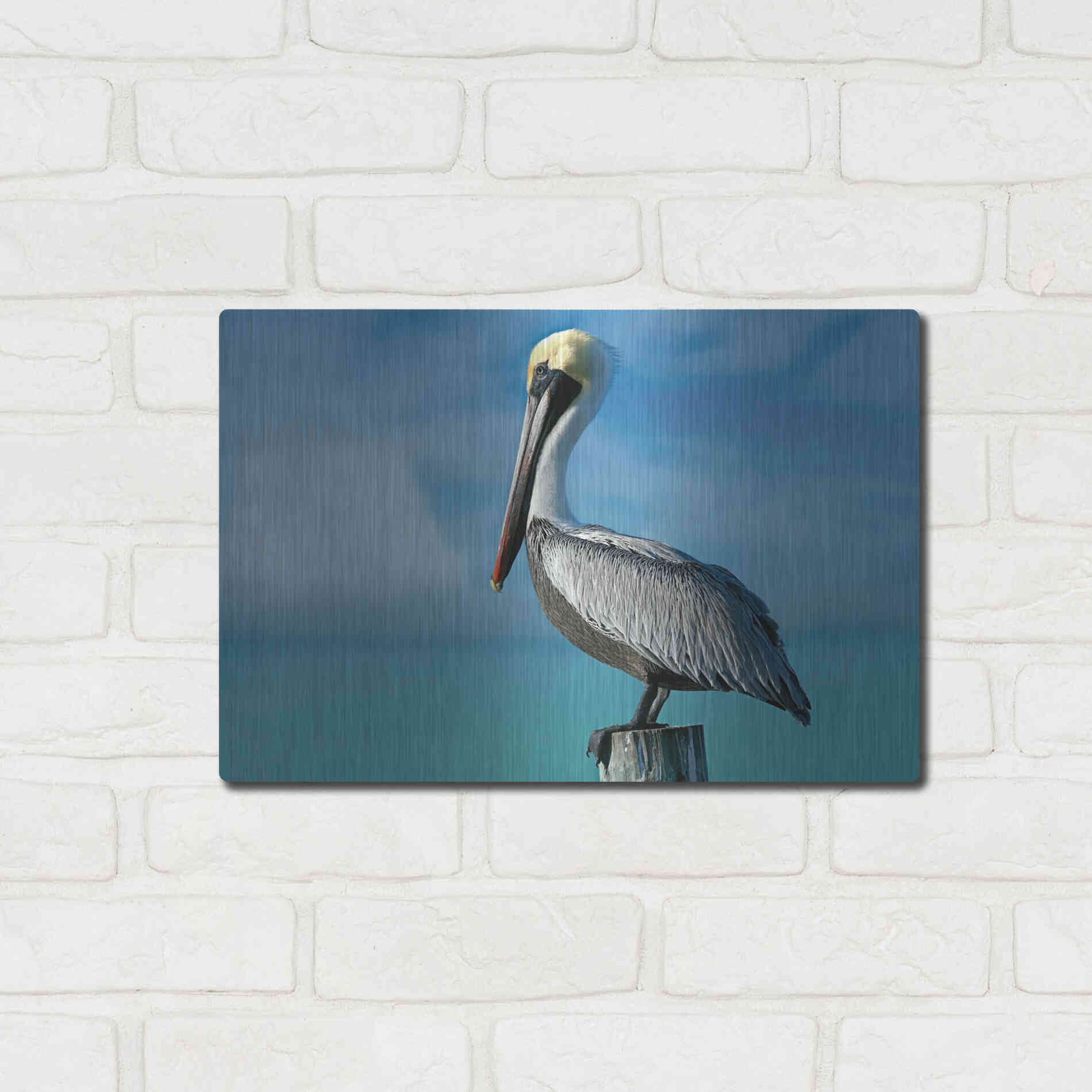 Luxe Metal Art 'Pelican' by Mike Jones, Metal Wall Art,16x12