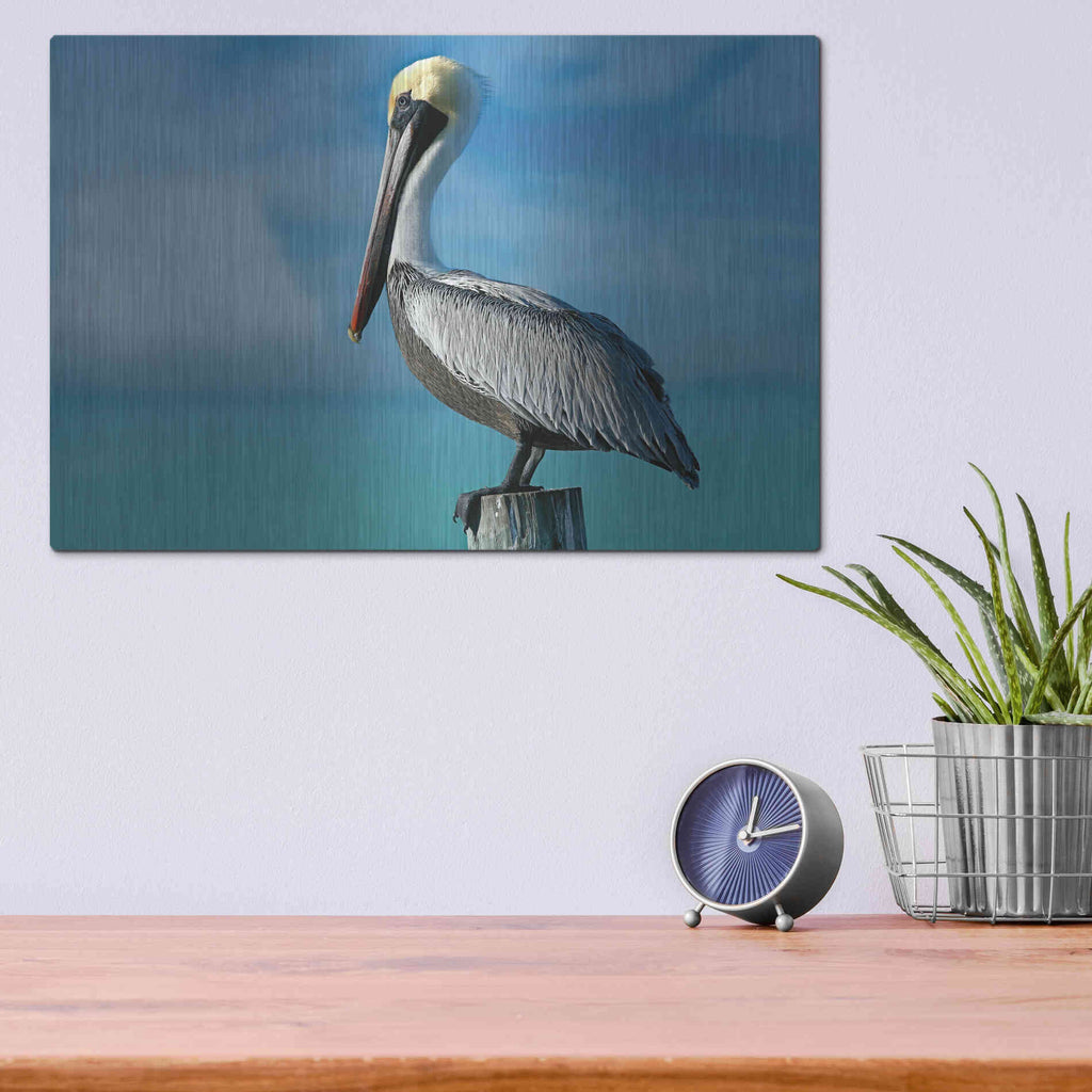 Luxe Metal Art 'Pelican' by Mike Jones, Metal Wall Art,16x12