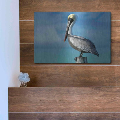 Luxe Metal Art 'Pelican' by Mike Jones, Metal Wall Art,16x12