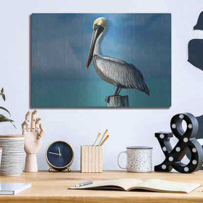 Luxe Metal Art 'Pelican' by Mike Jones, Metal Wall Art,16x12