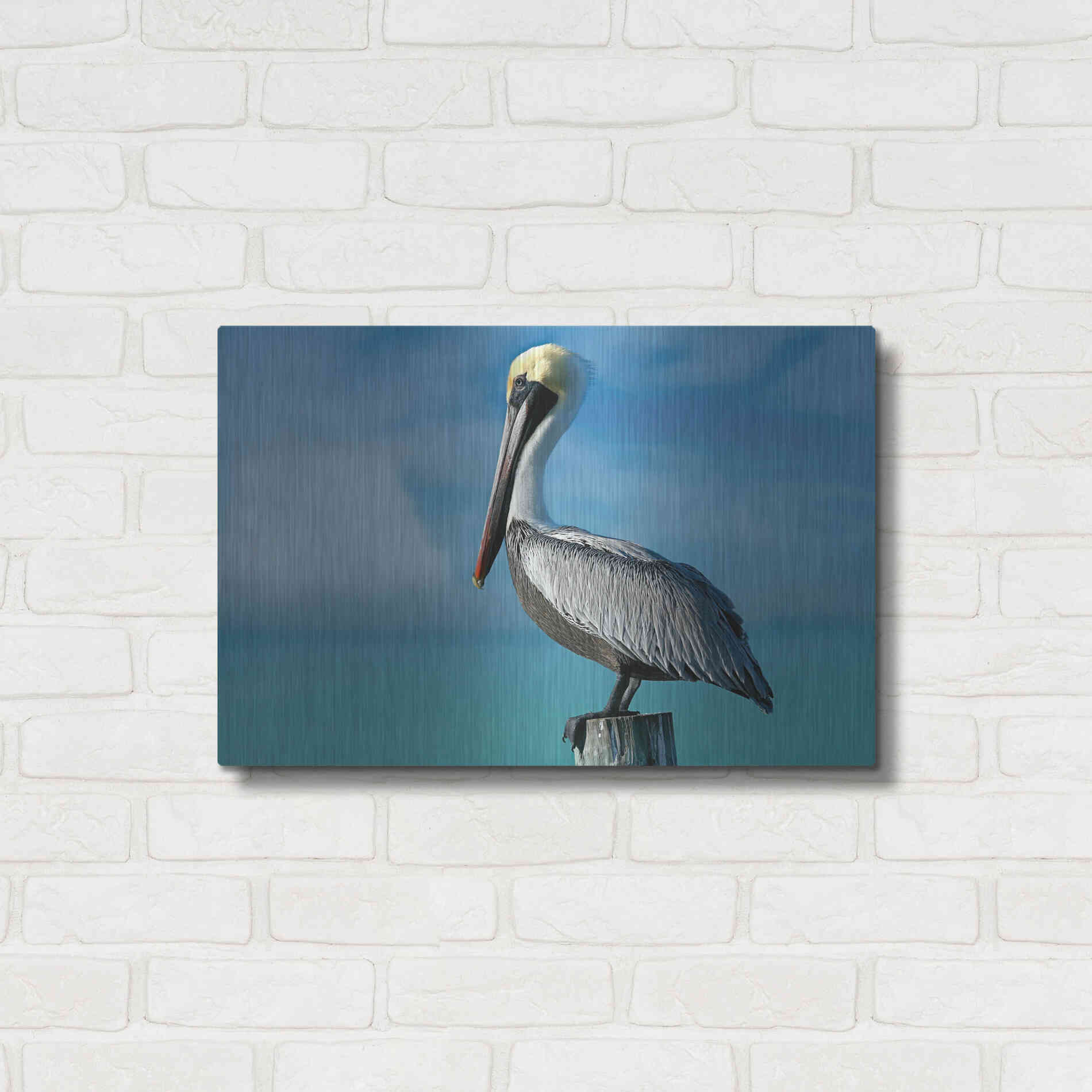 Luxe Metal Art 'Pelican' by Mike Jones, Metal Wall Art,24x16