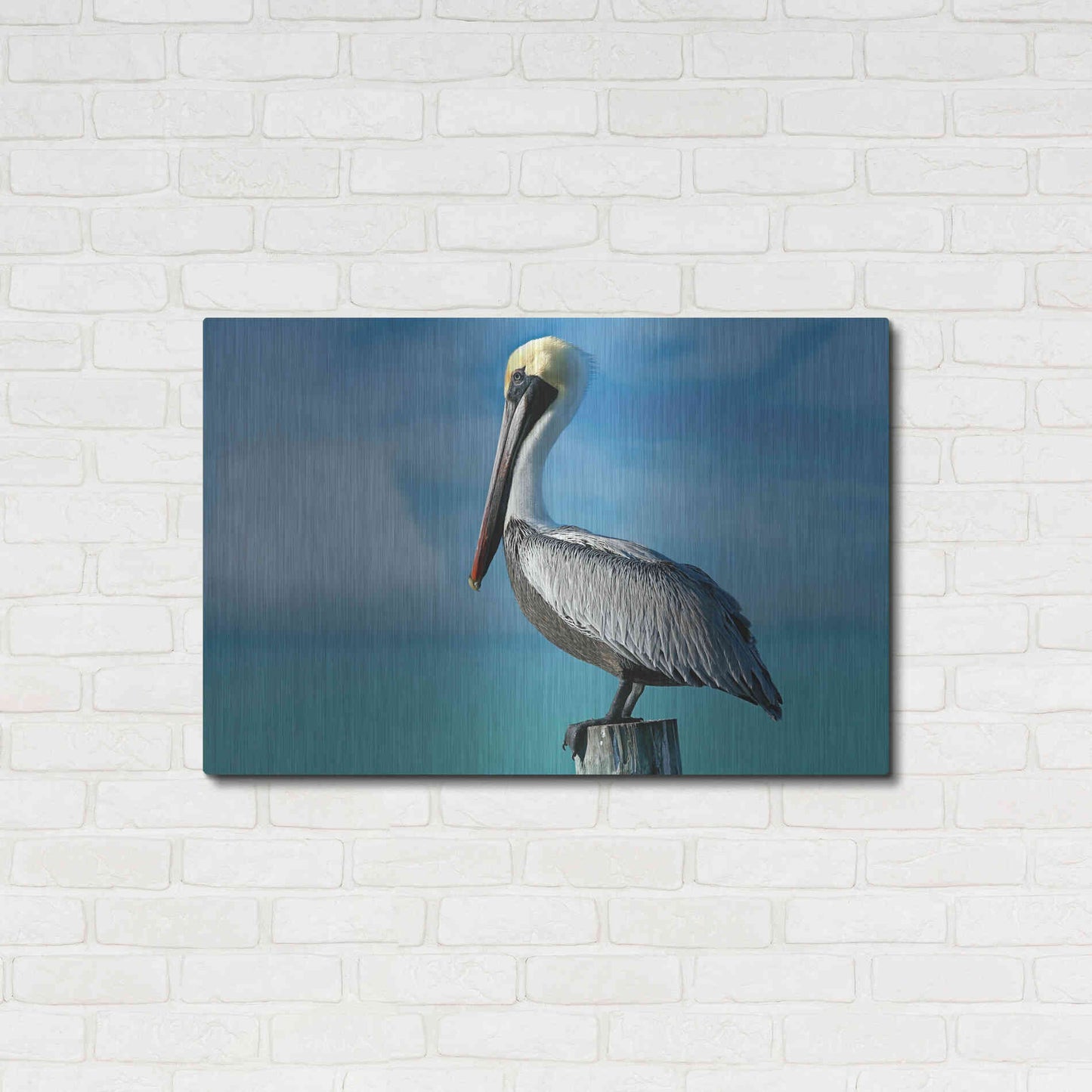 Luxe Metal Art 'Pelican' by Mike Jones, Metal Wall Art,36x24