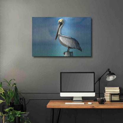 Luxe Metal Art 'Pelican' by Mike Jones, Metal Wall Art,36x24