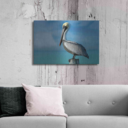 Luxe Metal Art 'Pelican' by Mike Jones, Metal Wall Art,36x24