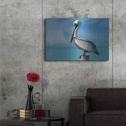 Luxe Metal Art 'Pelican' by Mike Jones, Metal Wall Art,36x24