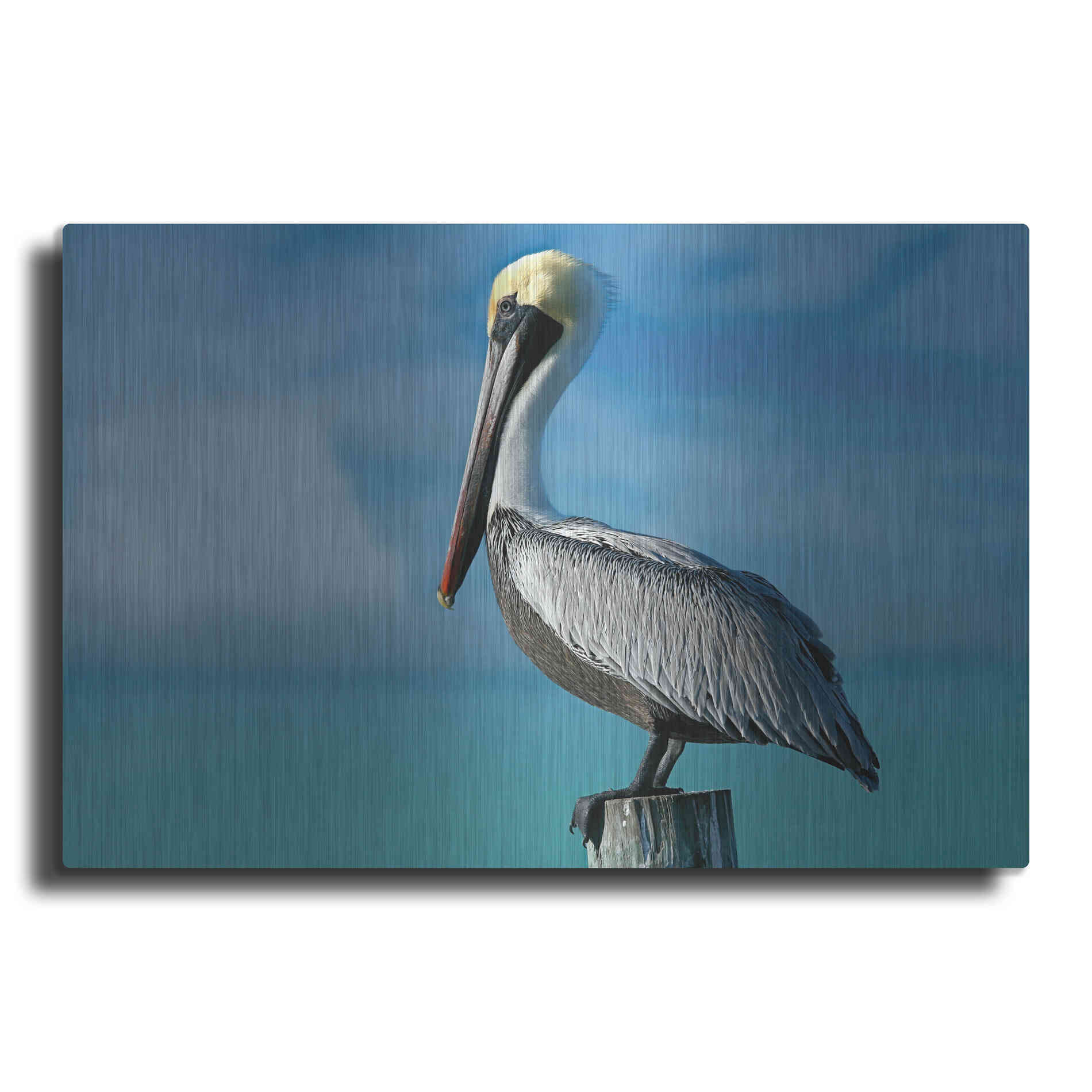 Luxe Metal Art 'Pelican' by Mike Jones, Metal Wall Art