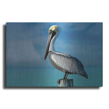 Luxe Metal Art 'Pelican' by Mike Jones, Metal Wall Art