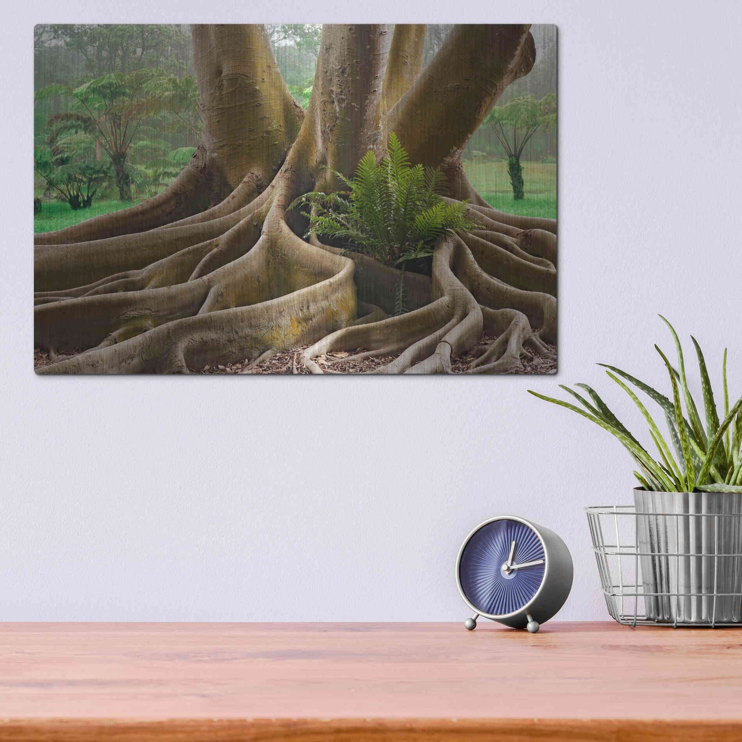 Luxe Metal Art 'Roots Sarasots Big Tree' by Mike Jones, Metal Wall Art,16x12