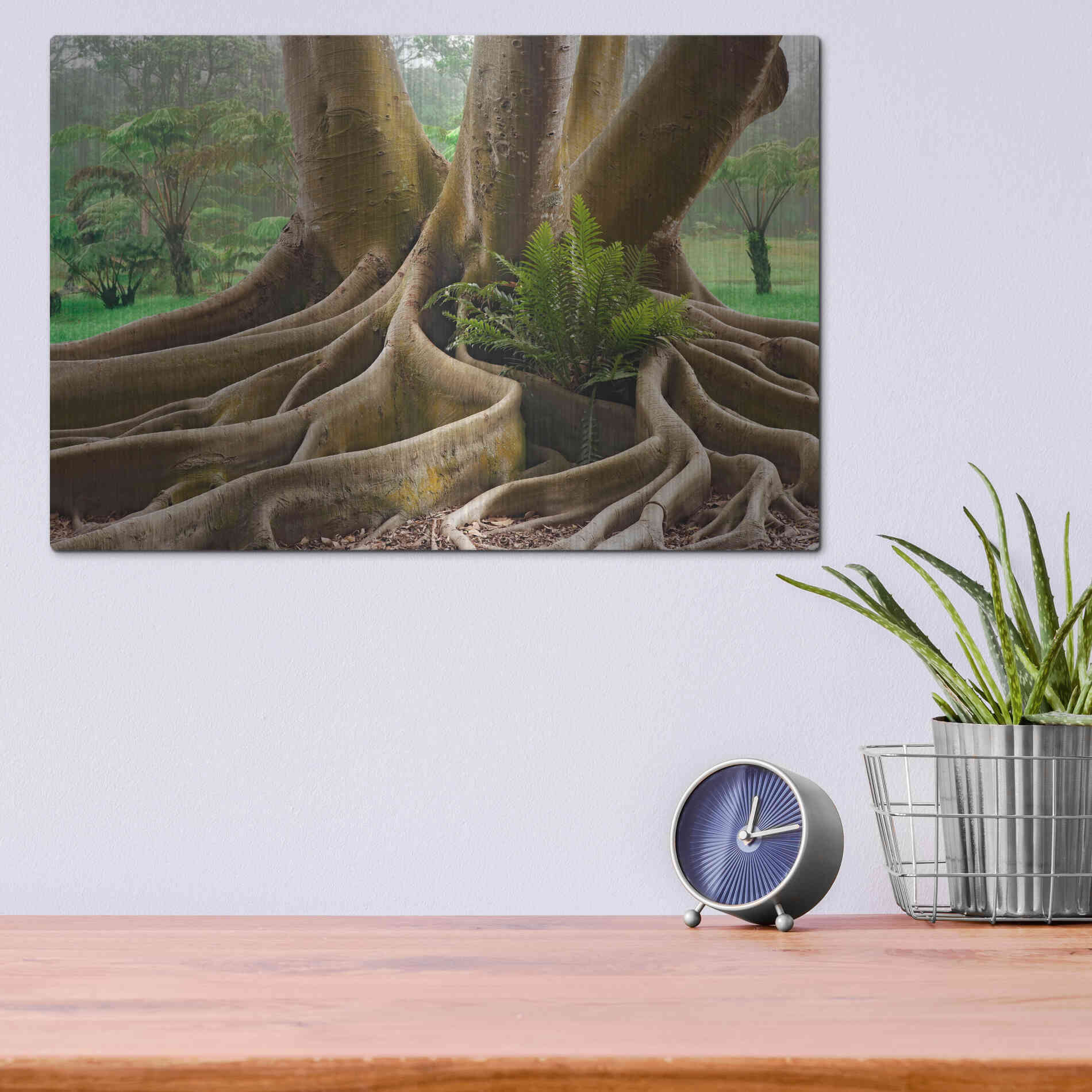 Luxe Metal Art 'Roots Sarasots Big Tree' by Mike Jones, Metal Wall Art,16x12