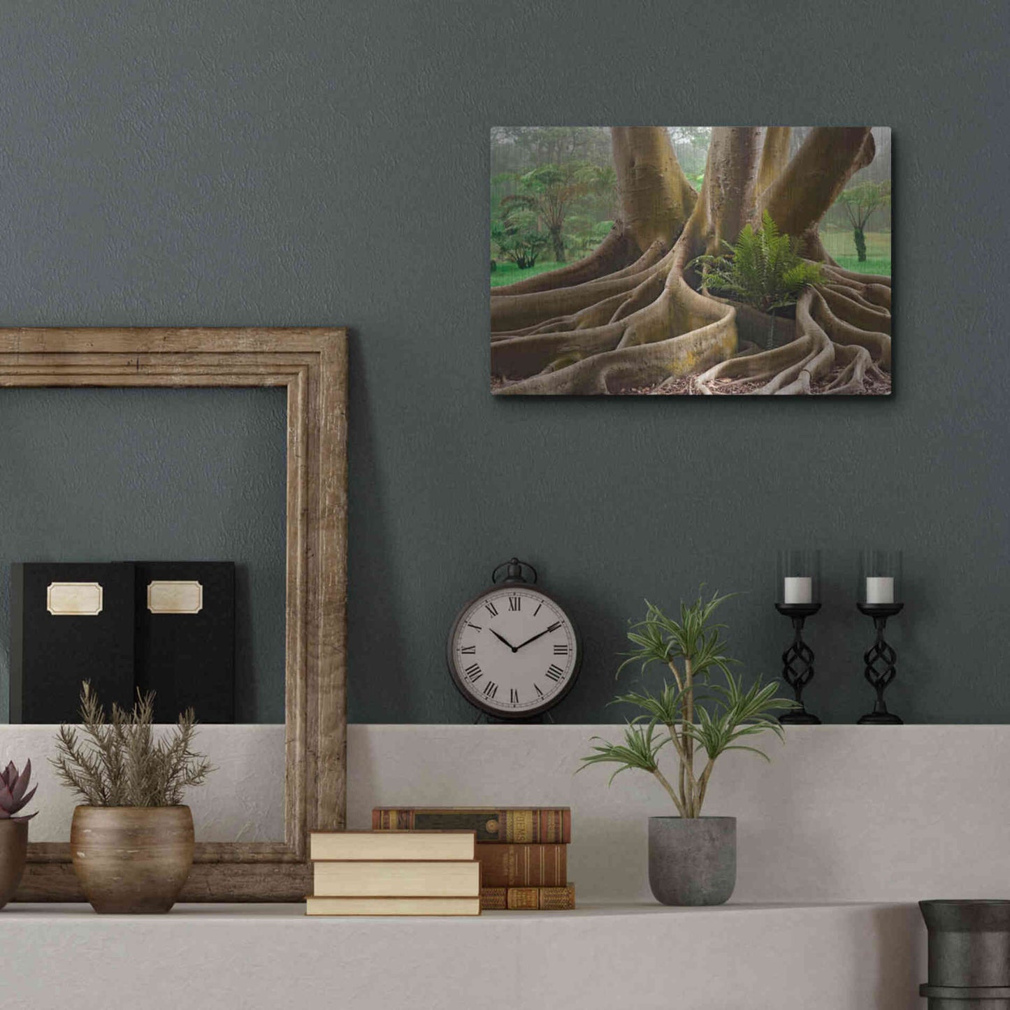 Luxe Metal Art 'Roots Sarasots Big Tree' by Mike Jones, Metal Wall Art,16x12