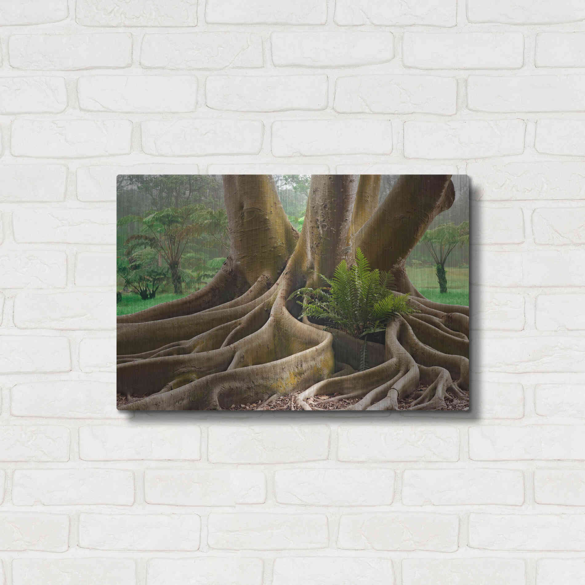 Luxe Metal Art 'Roots Sarasots Big Tree' by Mike Jones, Metal Wall Art,24x16