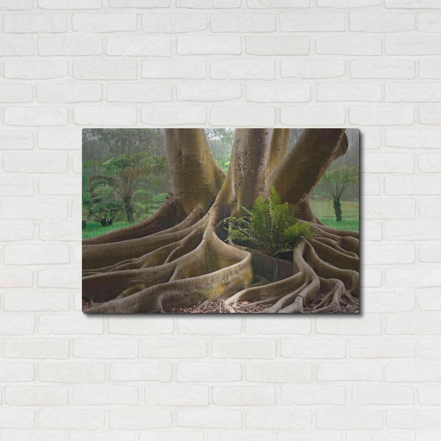 Luxe Metal Art 'Roots Sarasots Big Tree' by Mike Jones, Metal Wall Art,36x24