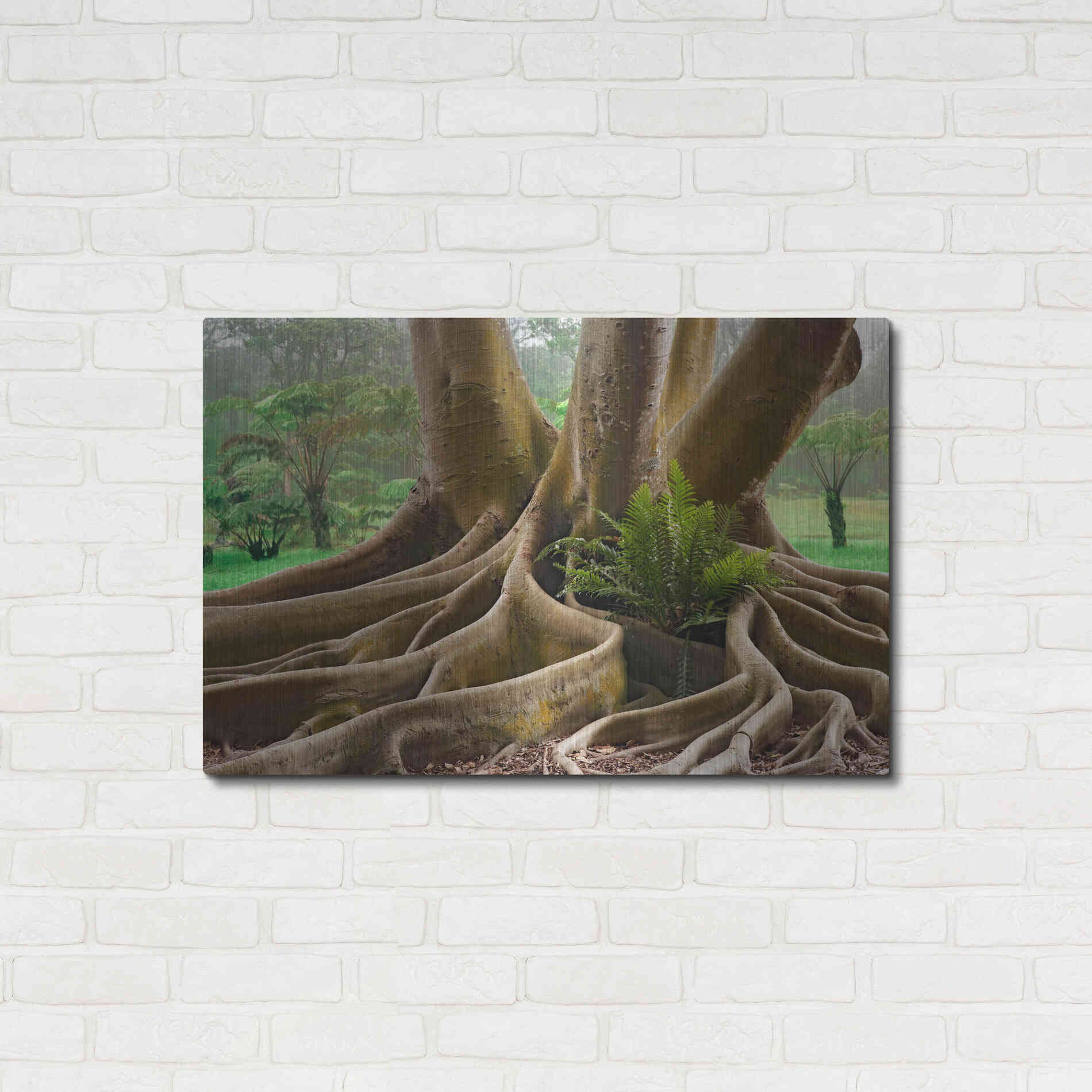 Luxe Metal Art 'Roots Sarasots Big Tree' by Mike Jones, Metal Wall Art,36x24