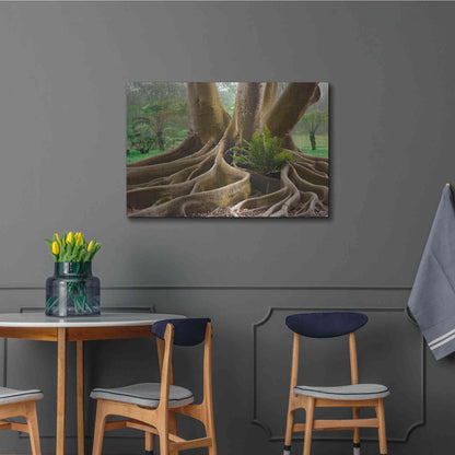 Luxe Metal Art 'Roots Sarasots Big Tree' by Mike Jones, Metal Wall Art,36x24