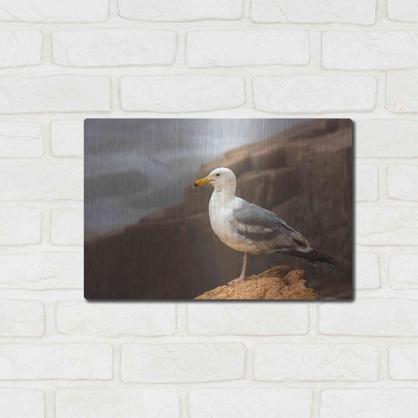Luxe Metal Art 'Seagull' by Mike Jones, Metal Wall Art,16x12