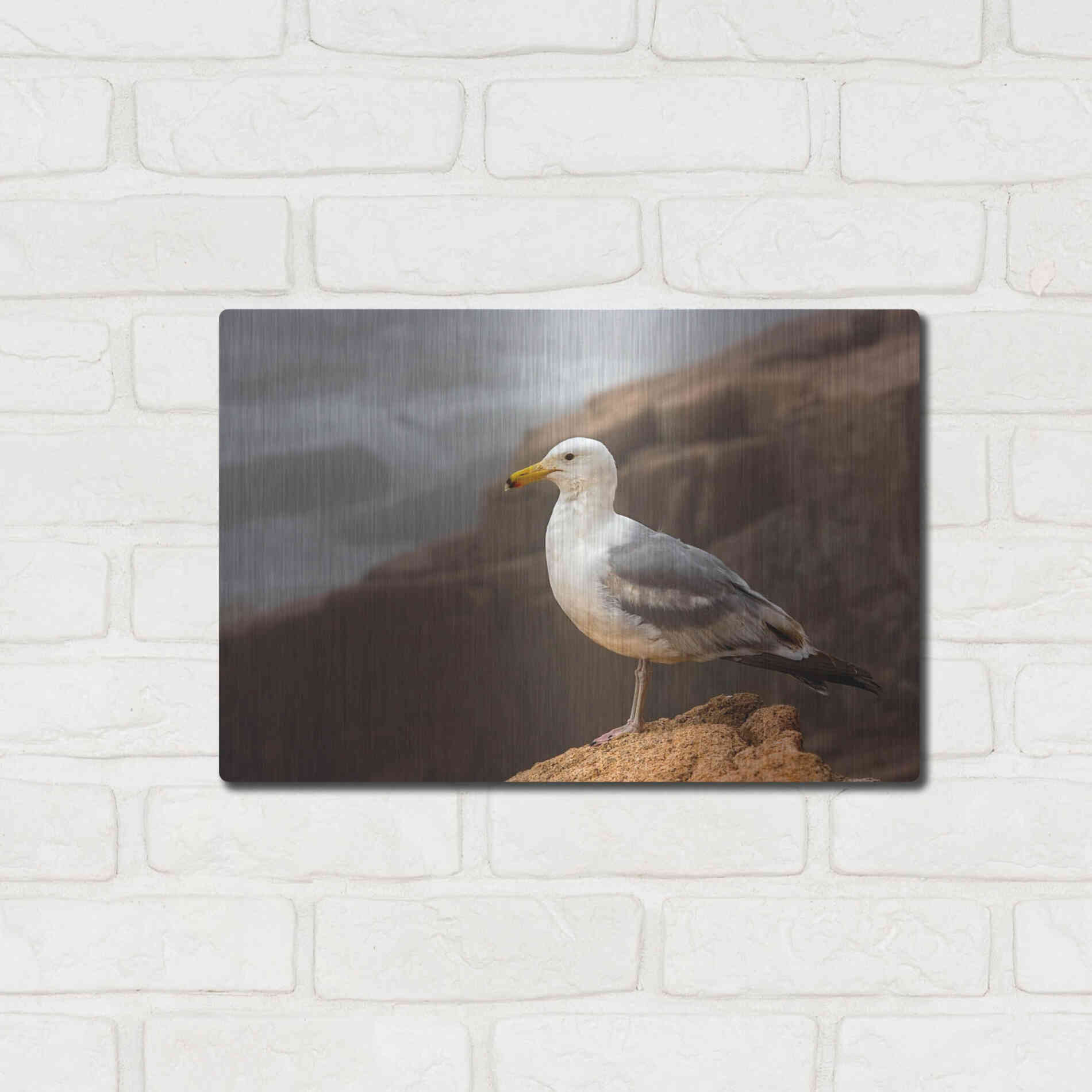 Luxe Metal Art 'Seagull' by Mike Jones, Metal Wall Art,16x12