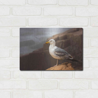 Luxe Metal Art 'Seagull' by Mike Jones, Metal Wall Art,16x12