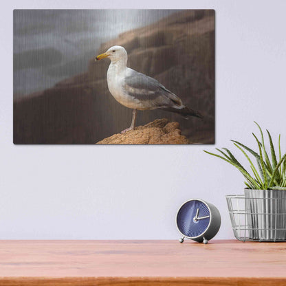 Luxe Metal Art 'Seagull' by Mike Jones, Metal Wall Art,16x12