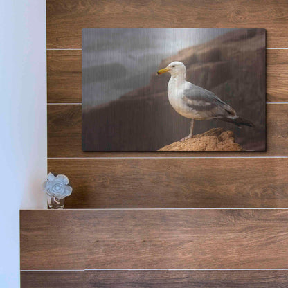 Luxe Metal Art 'Seagull' by Mike Jones, Metal Wall Art,16x12