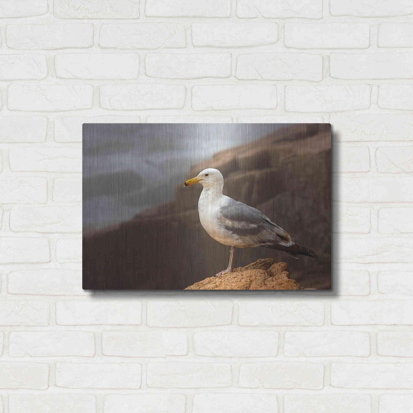 Luxe Metal Art 'Seagull' by Mike Jones, Metal Wall Art,24x16