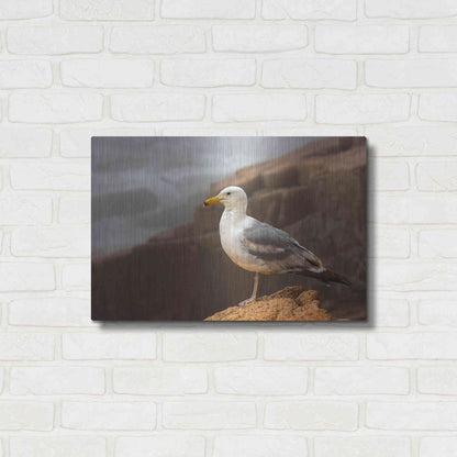 Luxe Metal Art 'Seagull' by Mike Jones, Metal Wall Art,24x16
