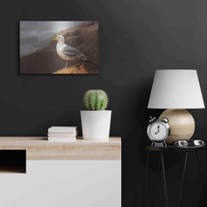 Luxe Metal Art 'Seagull' by Mike Jones, Metal Wall Art,24x16