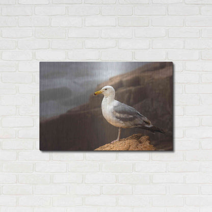Luxe Metal Art 'Seagull' by Mike Jones, Metal Wall Art,36x24