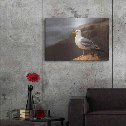 Luxe Metal Art 'Seagull' by Mike Jones, Metal Wall Art,36x24