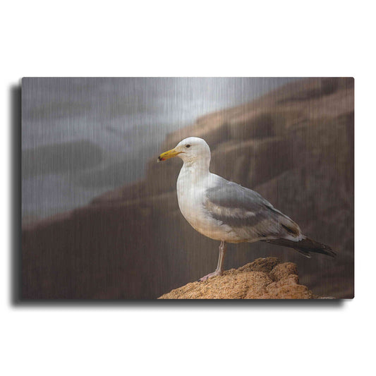 Luxe Metal Art 'Seagull' by Mike Jones, Metal Wall Art