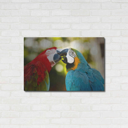 Luxe Metal Art 'The Kiss' by Mike Jones, Metal Wall Art,36x24