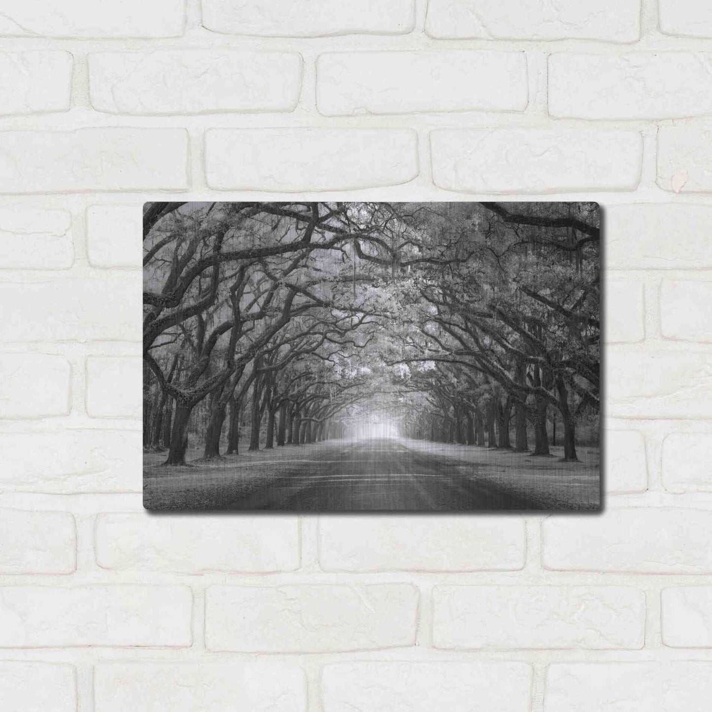 Luxe Metal Art 'Wormsloe Inf Light' by Mike Jones, Metal Wall Art,16x12