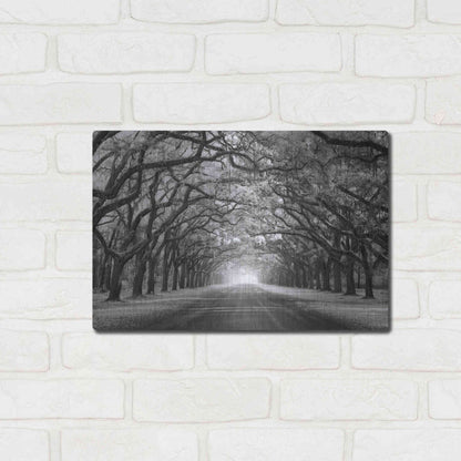 Luxe Metal Art 'Wormsloe Inf Light' by Mike Jones, Metal Wall Art,16x12