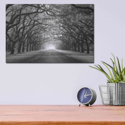 Luxe Metal Art 'Wormsloe Inf Light' by Mike Jones, Metal Wall Art,16x12