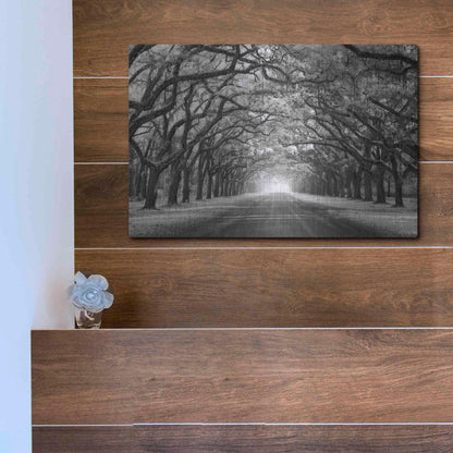 Luxe Metal Art 'Wormsloe Inf Light' by Mike Jones, Metal Wall Art,16x12