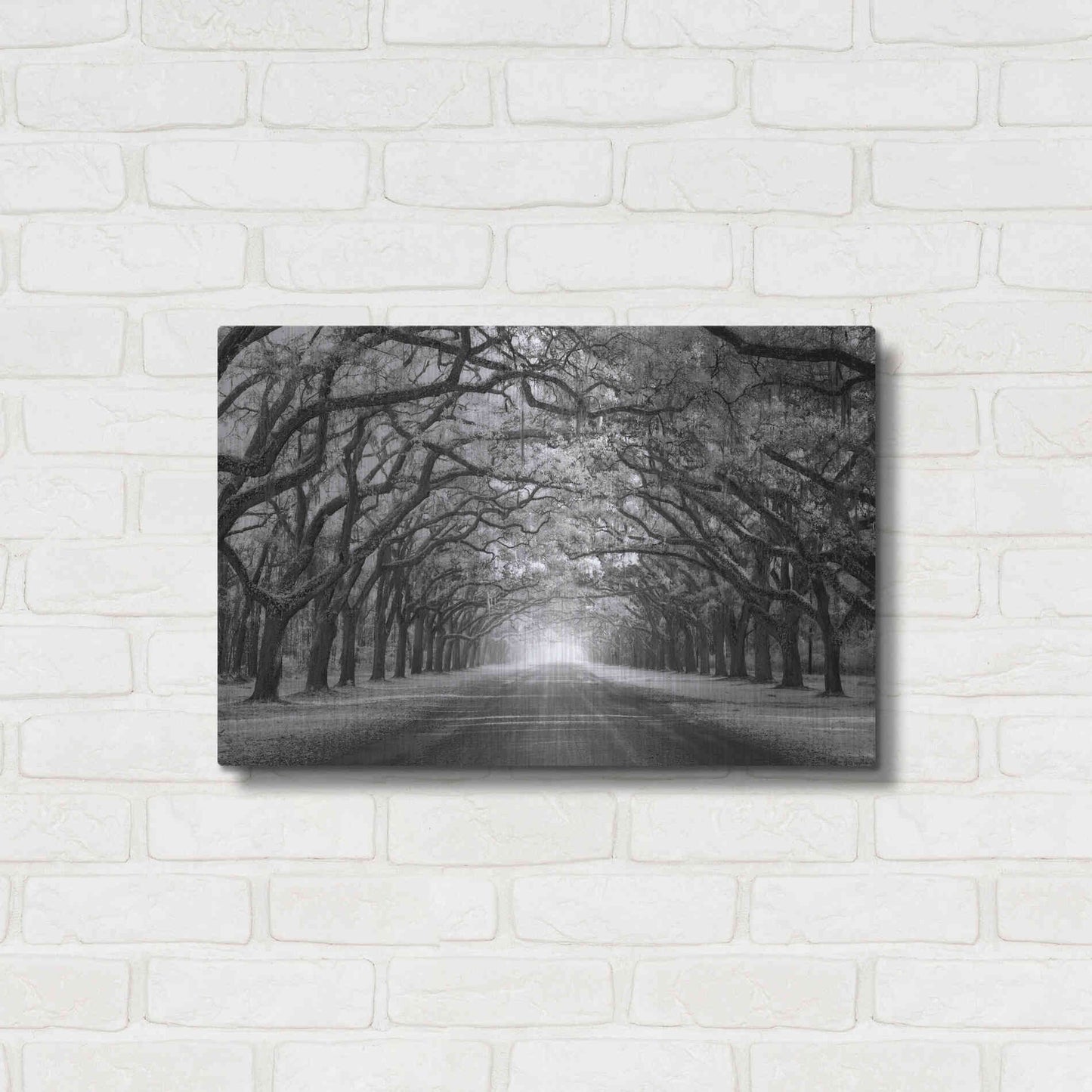 Luxe Metal Art 'Wormsloe Inf Light' by Mike Jones, Metal Wall Art,24x16