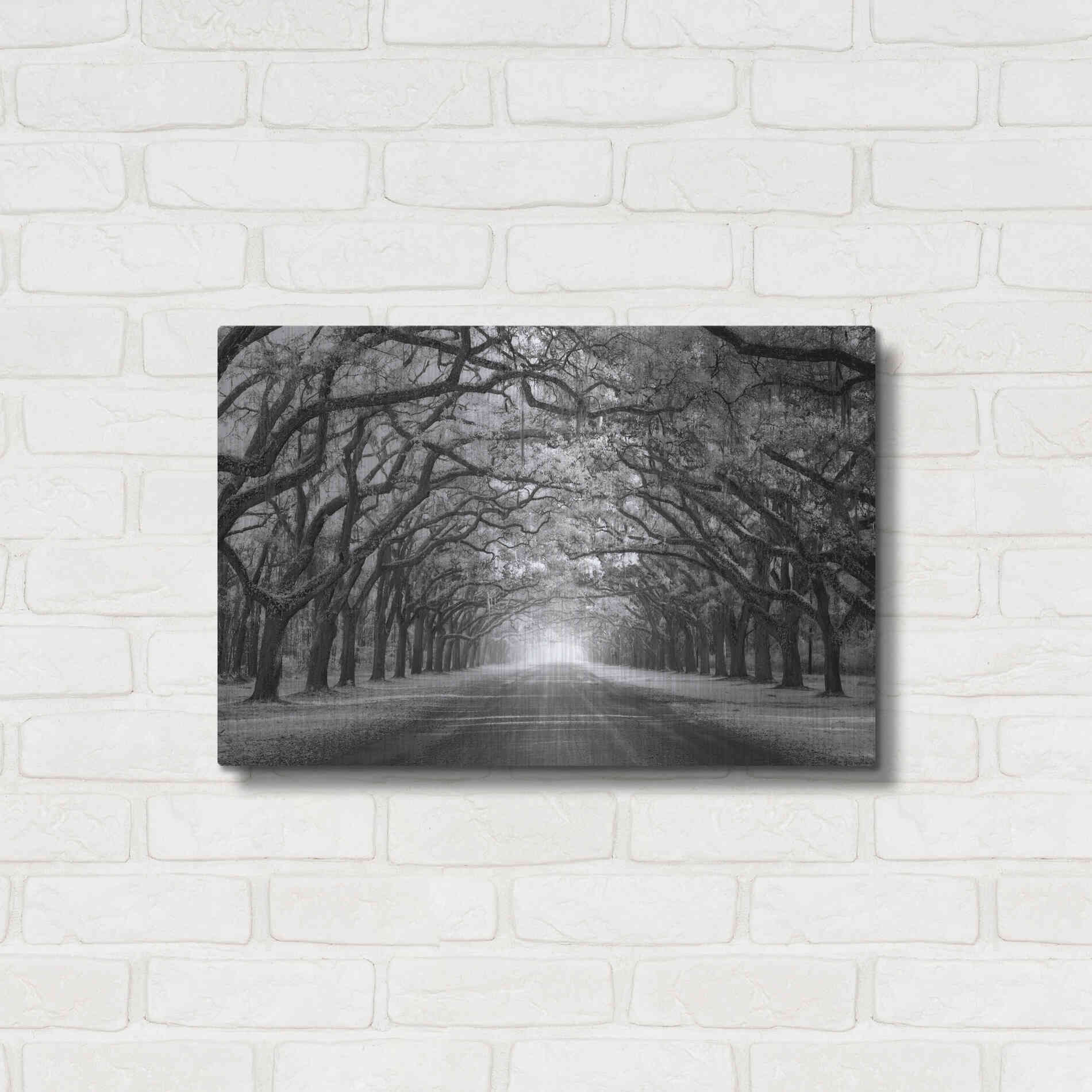 Luxe Metal Art 'Wormsloe Inf Light' by Mike Jones, Metal Wall Art,24x16