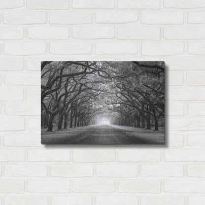 Luxe Metal Art 'Wormsloe Inf Light' by Mike Jones, Metal Wall Art,24x16