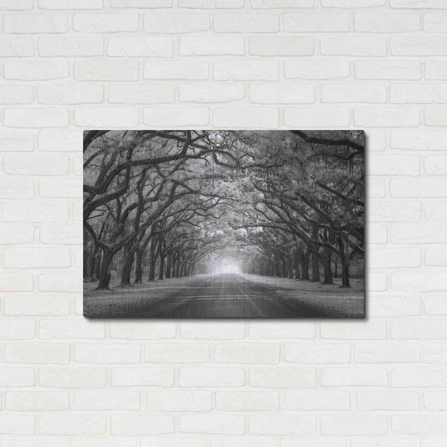 Luxe Metal Art 'Wormsloe Inf Light' by Mike Jones, Metal Wall Art,36x24