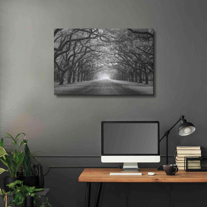 Luxe Metal Art 'Wormsloe Inf Light' by Mike Jones, Metal Wall Art,36x24