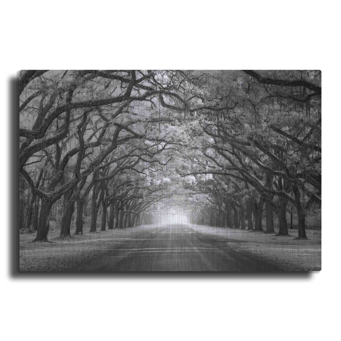 Luxe Metal Art 'Wormsloe Inf Light' by Mike Jones, Metal Wall Art